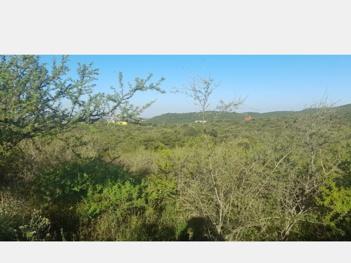 Campos – Tiro Federal 2 Campos – Tiro Federal
