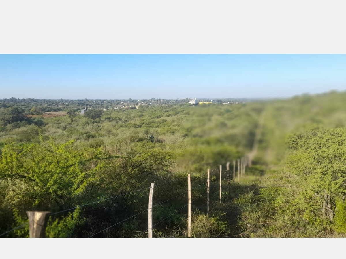 Campos – Tiro Federal 3 Campos – Tiro Federal