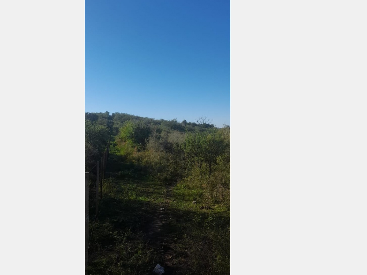 Campos – Tiro Federal 4 Campos – Tiro Federal