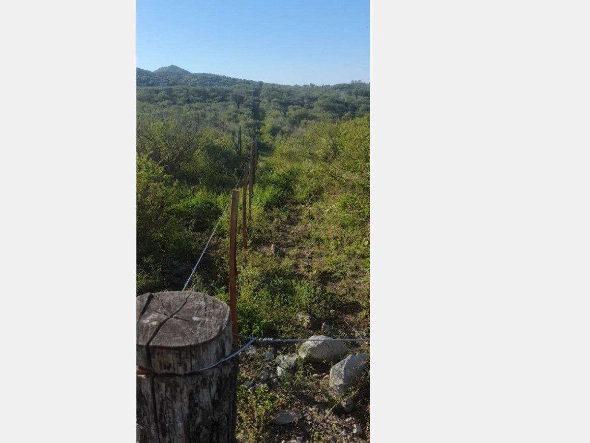 Campos – Tiro Federal 5 Campos – Tiro Federal