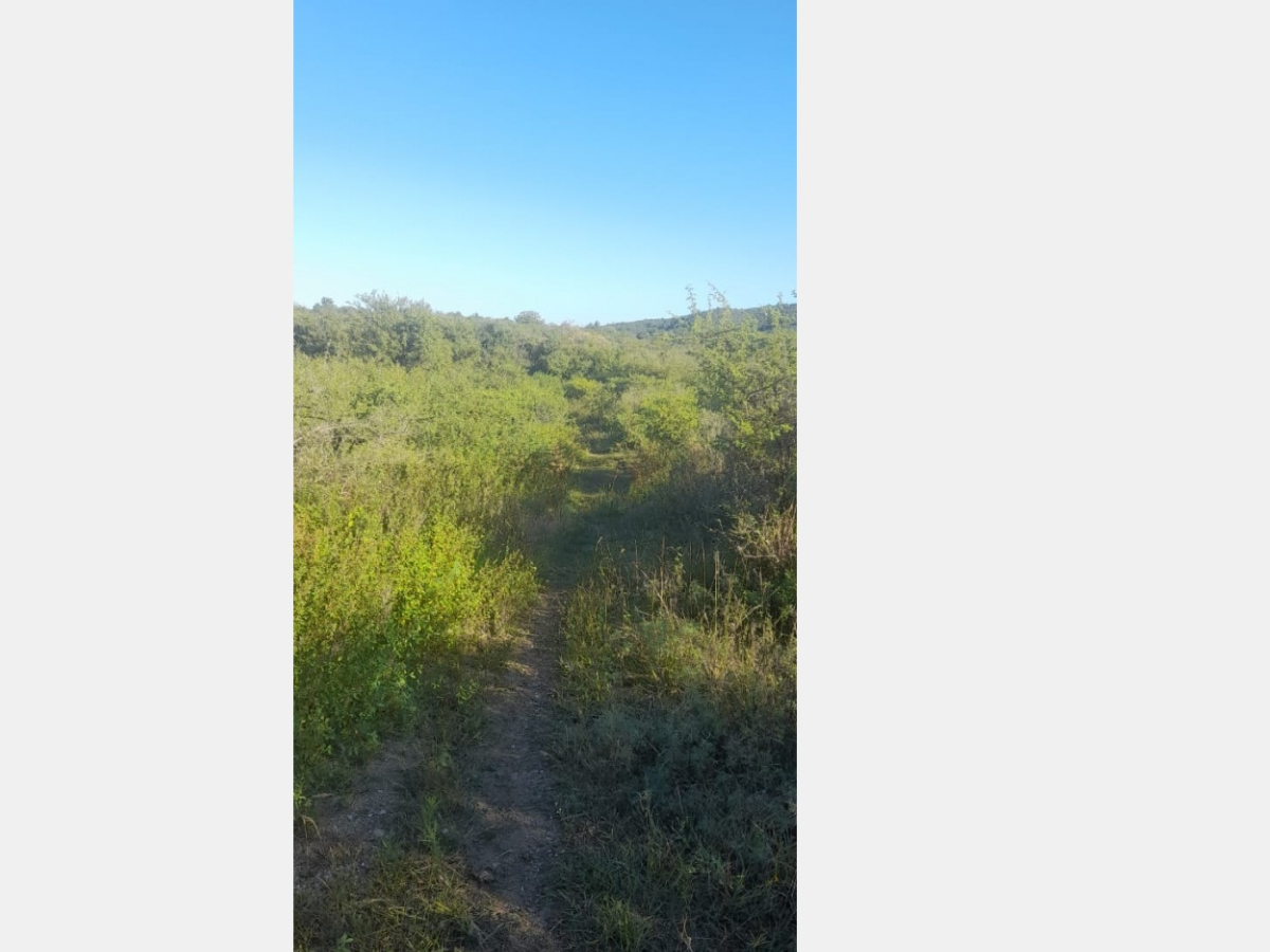 Campos – Tiro Federal 6 Campos – Tiro Federal