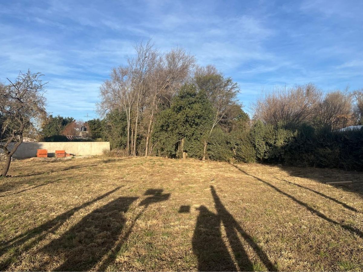 Lote – Anisacate