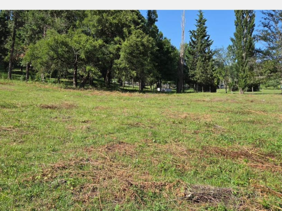 Lote – La Paisanita