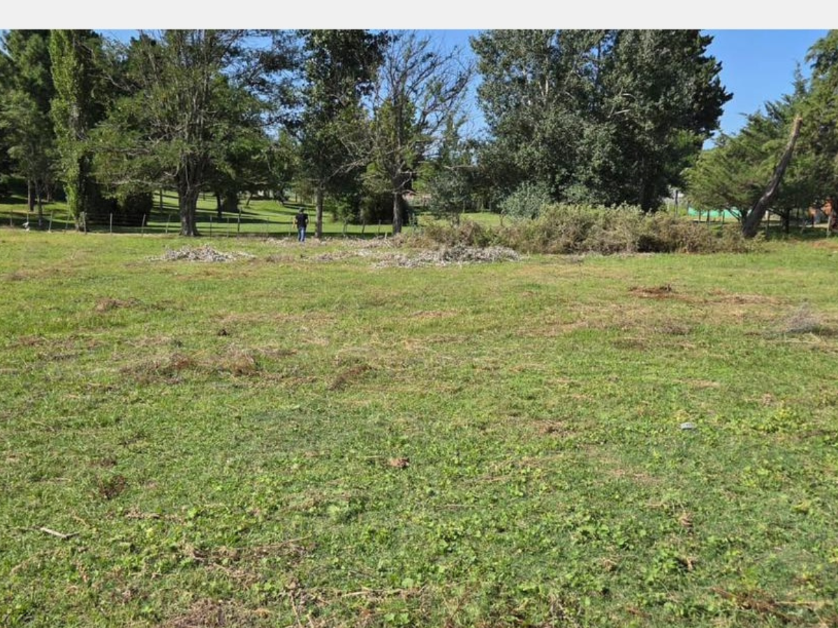 Lote – La Paisanita