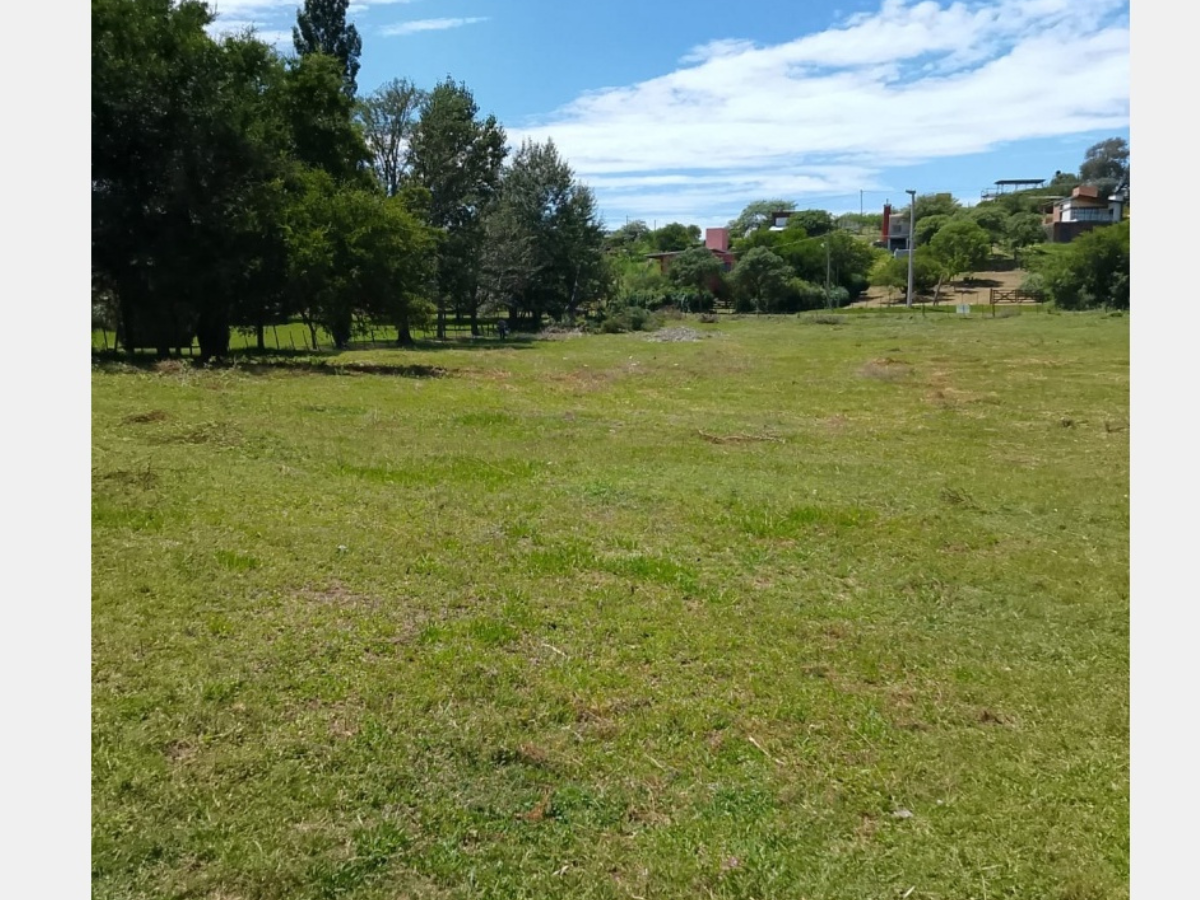 Lote – La Paisanita