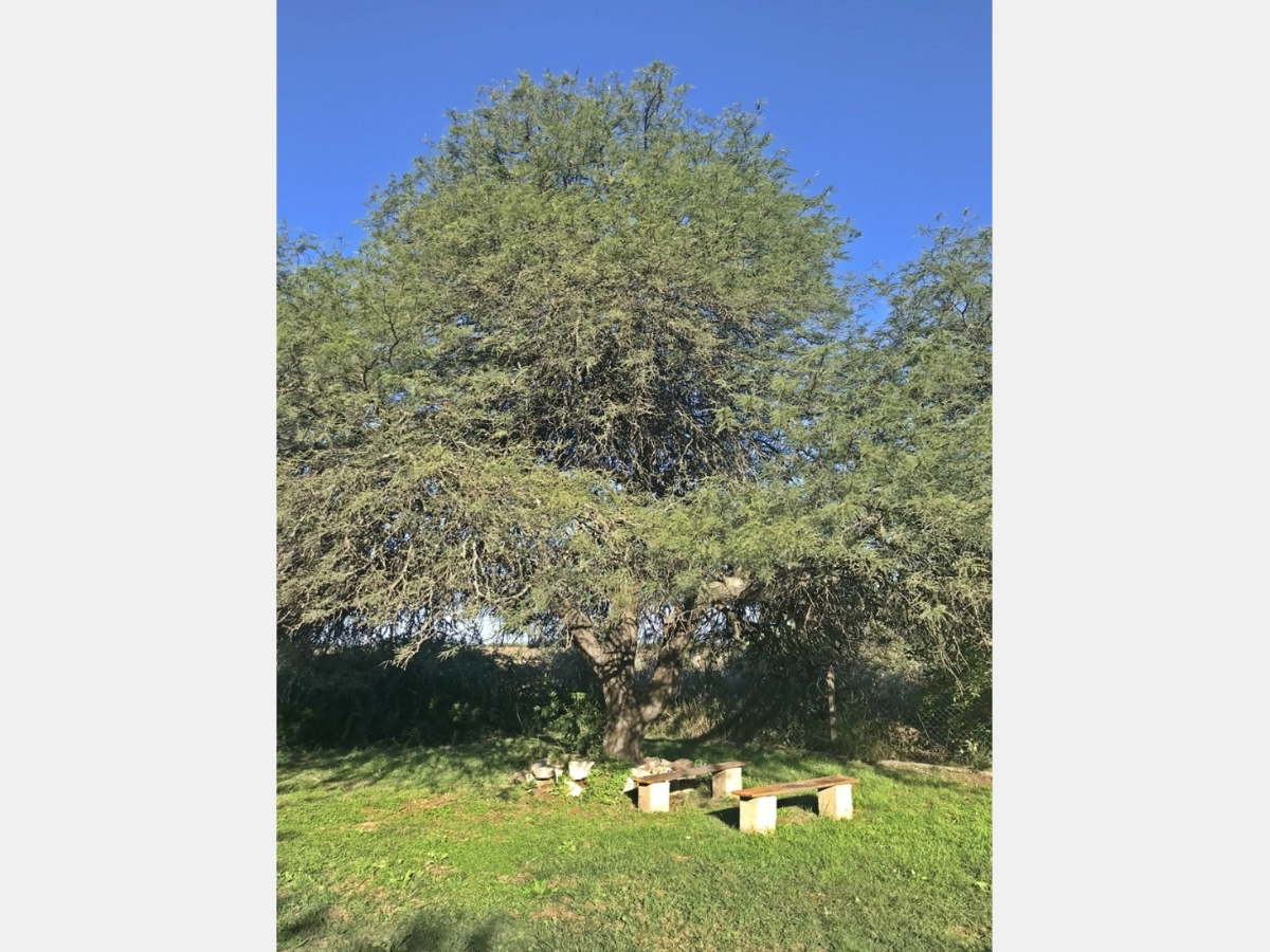 Casa – Anisacate