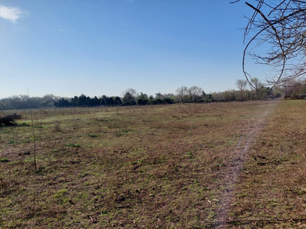 Lote – Anisacate