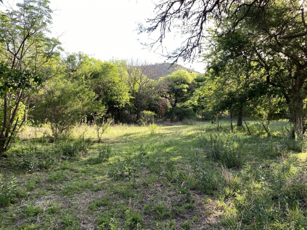 Lote – La Rancherita 4 Lote – La Rancherita