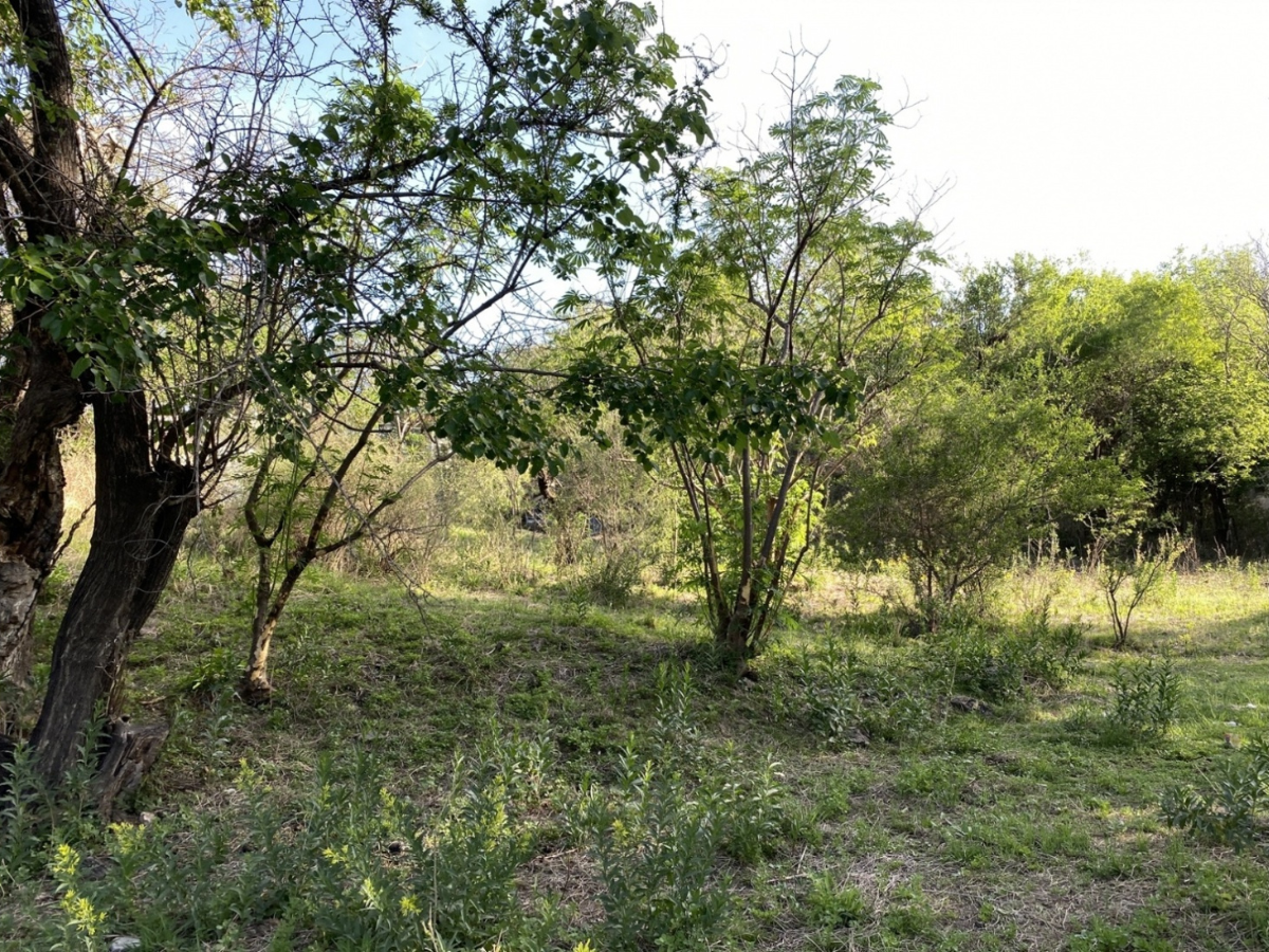 Lote – La Rancherita 6 Lote – La Rancherita
