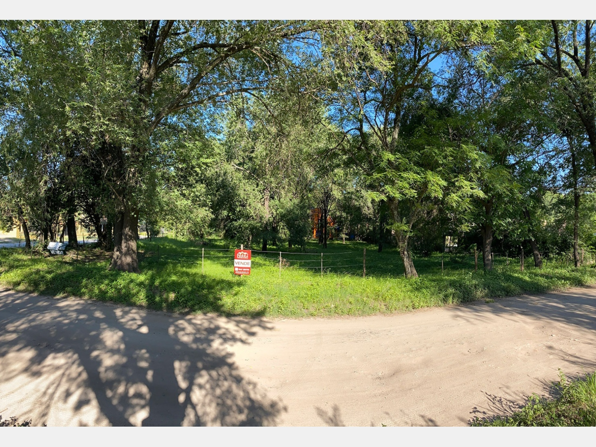 Lote – La Viña