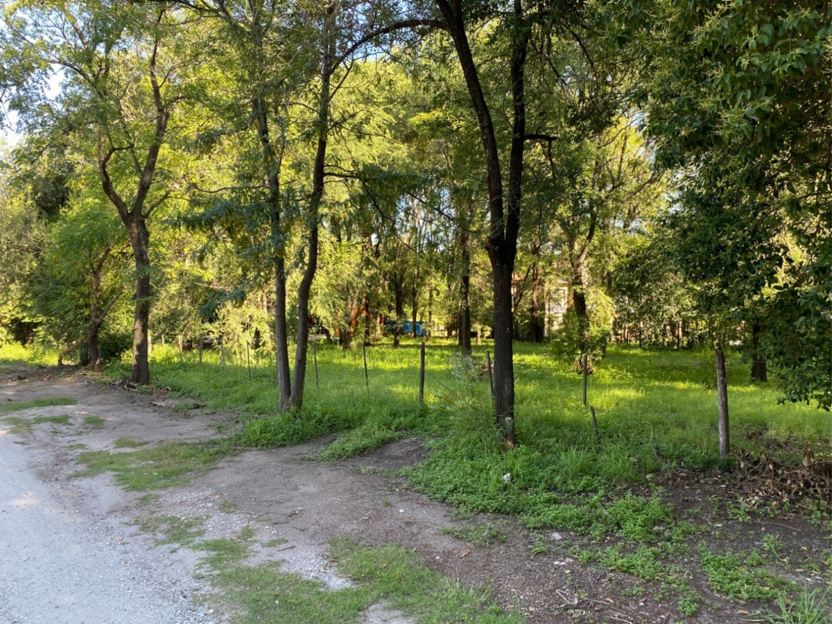 Lote – La Viña