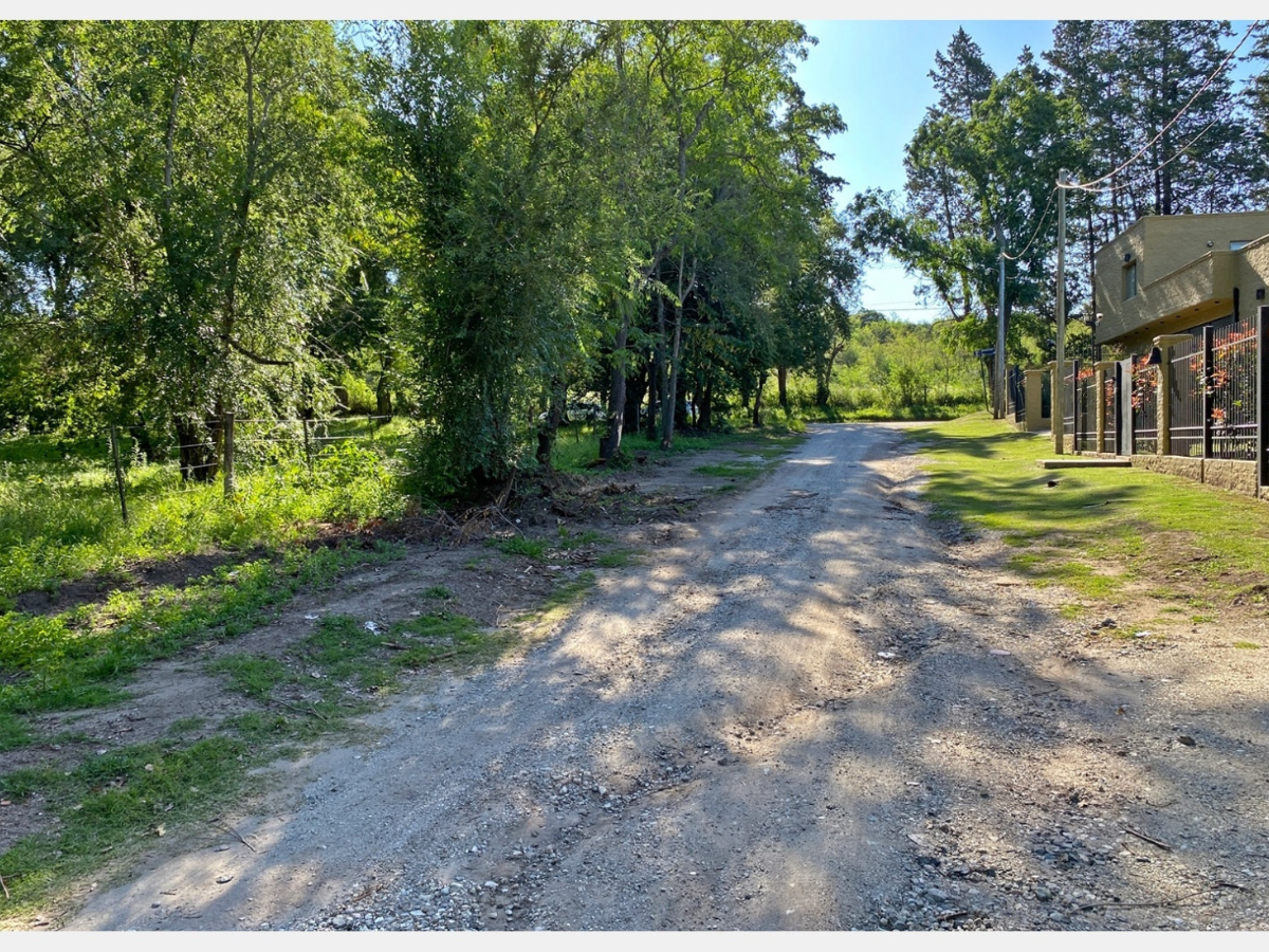 Lote – La Viña
