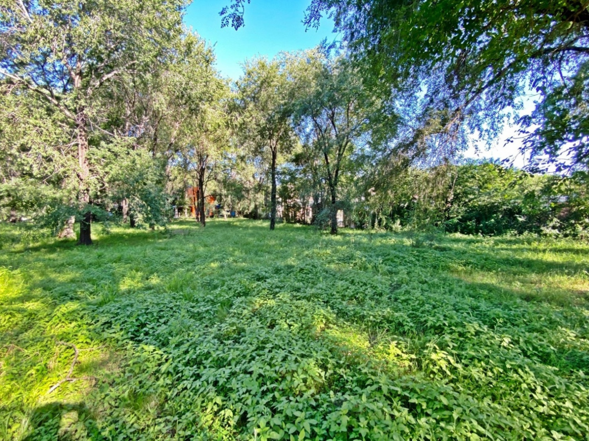 Lote – La Viña