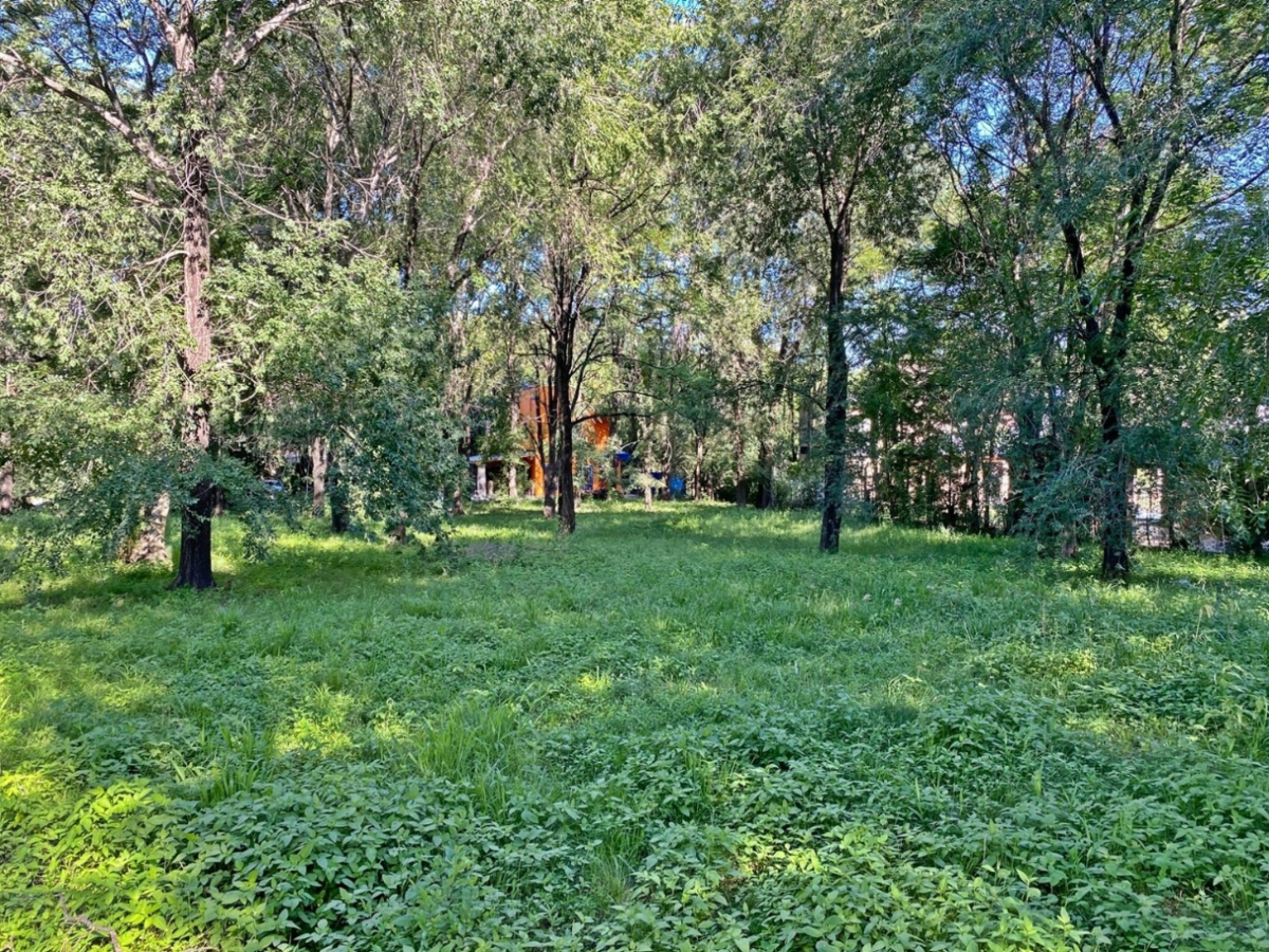Lote – La Viña